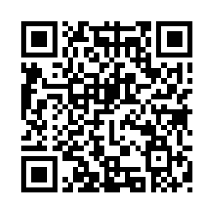 转身就走入树林中去寻找干树枝去了二维码生成