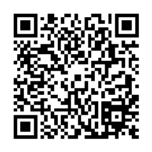 转身第二次见面就半点没犹豫痛快地跪在他面前求他救命二维码生成