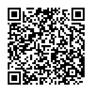 转身紧了紧身上的披风――夜风真的还满凉的――而后走进了编辑部里二维码生成