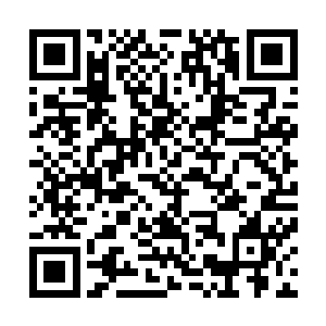 转身跑去街角……其实弹匣就在分类回收的另一个垃圾桶里二维码生成