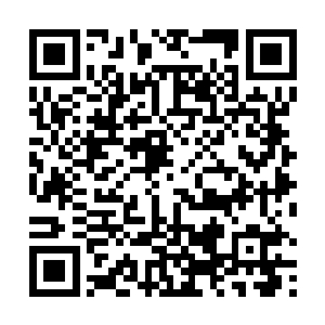 转过身便是看到了已经落在肩膀上的男仆跟那十八美女二维码生成