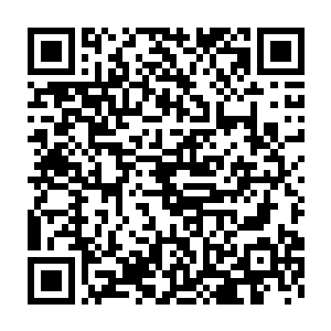 轮回之力虽然给安琪儿带来了几乎永不磨灭的力量和不死不灭的生命二维码生成