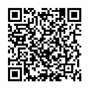 轮回之门内部的细小孔洞中我灌输的那些力量在不住循环二维码生成