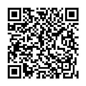 轮子妈开个大招然后对面一群人来冲散陈易清五人的阵型二维码生成