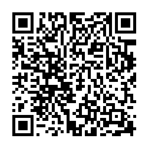 轮胎指挥那台叫亚当的小机器人特意在度假村里将一个房间改建成了囚室二维码生成