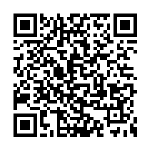 软中华更是一颗接着一颗的递到身边村民的手里二维码生成