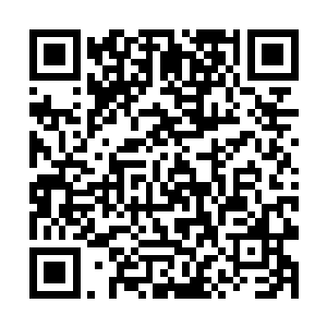 软到在地的沈天浪以及火冥感受到剧痛立即站了起来二维码生成