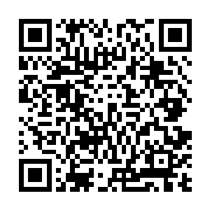 轰……只见小憨正在狂暴的攻击地面建得差不多的屠宰场二维码生成