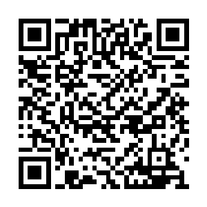 轰击在萧青身上居然只收到了这么一丁点的成效二维码生成