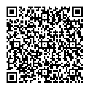 轰咔 就在结界形成的一刹那 风清扬瞬息而至 他一拳轰击在上 顿时让那结界猛烈的摇晃二维码生成