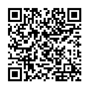 轰然将十丈巨型符人膝盖以下的两只小腿给轰得粉碎二维码生成