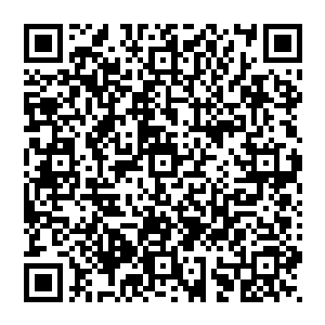 轰的一声 地面硬生生的被赵纯良这一脚给踩出了一个坑 赵纯良整个人如炮弹一样飞到了邱小道的面前二维码生成