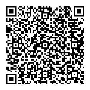 轰的一声　那人就好像是被什么东西给压到了一样　整个人面朝下就倒了下去　一摊血溅射而出　整个人硬生生的被拍扁了二维码生成