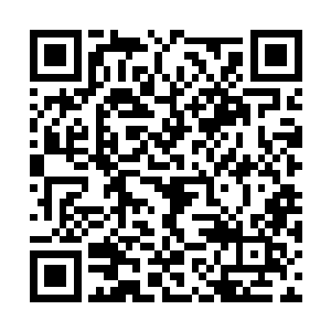 轰轰轰轰的连珠火球疯狂的打在了看林封谨的身上二维码生成