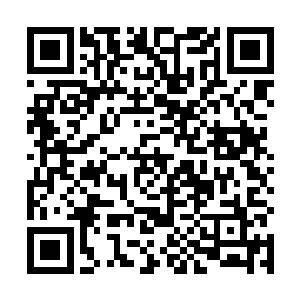 轻描淡写的就化解了长阳祖云霄拳头上那强大的圣之力二维码生成