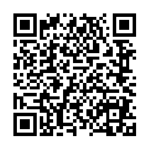 轻易便找到了当时卓谦之赠与她的那只九叶草玉盒二维码生成