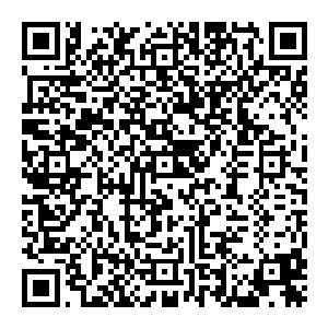 轻柔的琴曲在天地间响起琴音中似乎充斥着某种魔力让天地万物在这一刻都变得平静了下来就连天地间吹拂的微风都停止了下来二维码生成