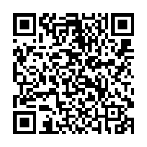 轻纱一般的面具便是瞬息之间将他的脸庞给笼罩住了二维码生成