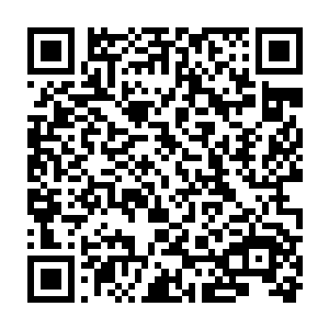 轻而易举地完成了傍晚的查房工作――医院喜欢这种权贵客人也不是没有道理的二维码生成