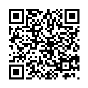 轻而易举的就把韩天宝等人抓捕归案了二维码生成