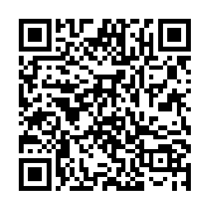 轻而易举的灭杀掉了他们这边的一名合体初期的修士二维码生成