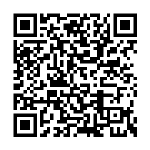 轻蔑地瞥了他一眼的朱千丝另一只胳膊又动了动二维码生成