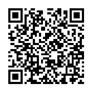 轻轻的点在了杨晓芸身上一条条看上去显得非常可怖的疤痕上二维码生成