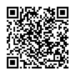 轻鸿阁的诸多开天境义无反顾地踏上了玄冥域战场二维码生成