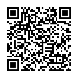 载着我和汪逹朋以及汪大锤和杰西回返中雅公寓汪逹朋餐馆二维码生成