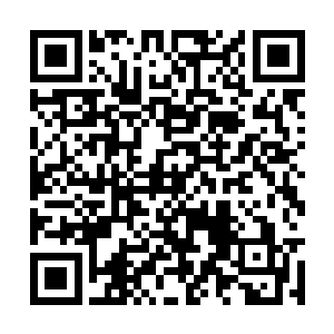 载着赵纯良等人前往酒店的车子一直沿着海岸前进二维码生成