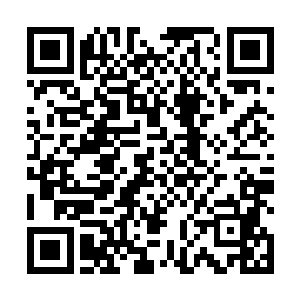 较为重要的论文是发表在几家影响因子较高的期刊上的二维码生成