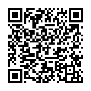 较好的身材在黄褐色衣裙的衬托下显得温文尔雅二维码生成