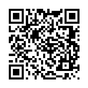 输了别怪老夫拆散你们组合就是了二维码生成