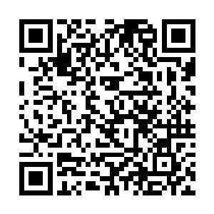 输了的一个竟被挑断了手劲从此以后再也不能练剑了二维码生成