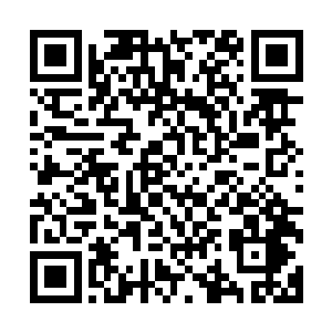 输了钱愁着眉若着脸的她拖着疲惫的身子一回到酒店倒头就睡二维码生成
