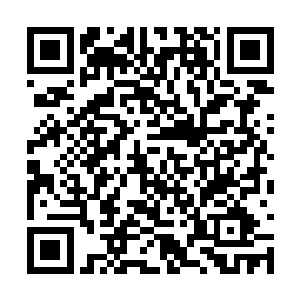 输掉斗医的人就应该算是结束这一届同界大比之旅二维码生成