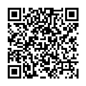 输的一方能跪在地上唱征服这已经是很好的结果了二维码生成