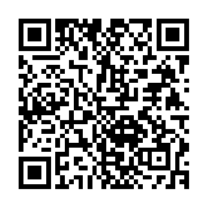 辟塔的脚底板在距离觉哥的脸还有五公分左右的距离上停住了二维码生成