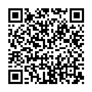 辟寒等人已经主动收了巴汨等厉害修蛇妖的尸体二维码生成