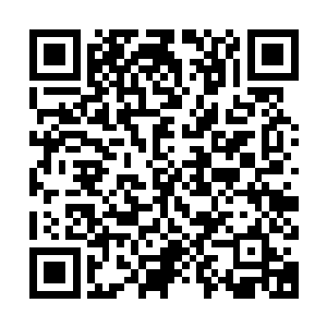 辣椒的成长没有你们是不行的…希望在电脑另一边的所有读者们二维码生成