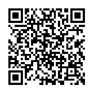 辣的阳光一下子就晃得林封谨几乎是睁不开眼睛二维码生成