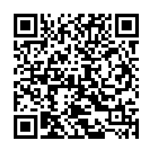 边上几个丫头见她这模样都把头凑到一起窃窃私语二维码生成