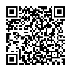 边学仁边学义边学德边静边玉边雪边凤几家这次支持回春山扫墓二维码生成