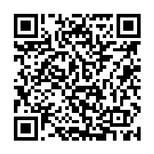 边学道扫荡了附近几个街区晚上摆摊老人的所有物品二维码生成