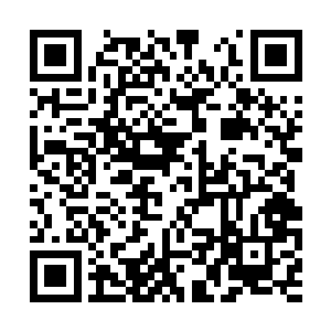 边用眼角的余光打量着留下的那六具更强壮的虫尸二维码生成