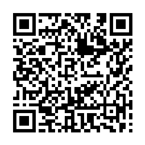 边缘之地乃至混沌之中的大部分天材地宝他都认识二维码生成