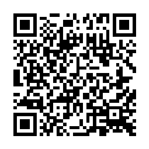 辽人和西夏人他们对口蹄疫的发生有着非常高的警惕之心二维码生成