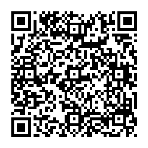 辽国人想要从东北的大海之滨跑到遥远的粘八葛部最健壮的战马也需要跑整整半年二维码生成