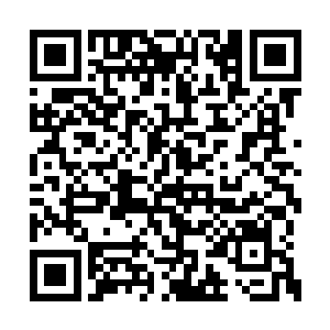 达到了神武境的这么一个堪称是传说的天才青年二维码生成