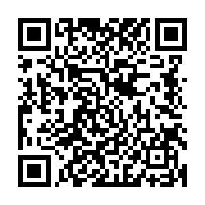 达到了至尊境界的强者基本上已经掌握了所有世界本源的法则二维码生成